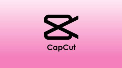 capcut 6.5.0 download