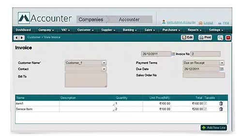 Accounter Software interface